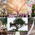 15 Wonderful Wedding Canopy & Arch Ideas