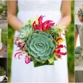 Succulent Bouquet & Wedding Theme