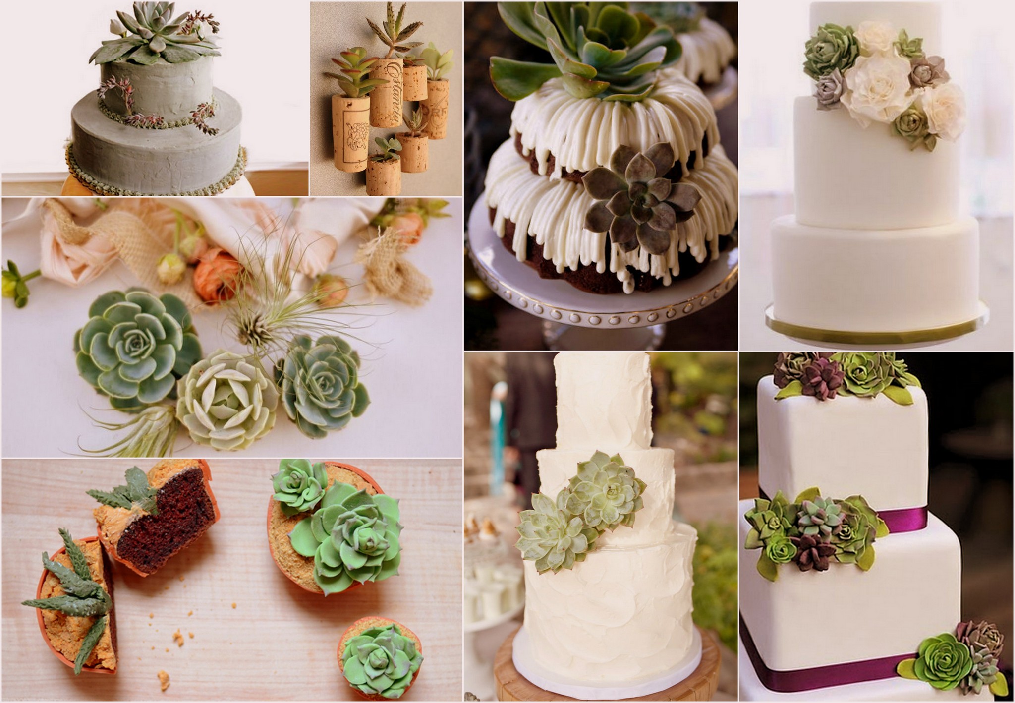 Succulent Wedding Theme Cakes, Eats & Treats