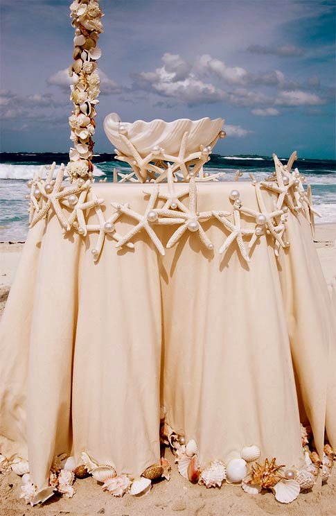 DIY Beach Wedding Inspiration Idea