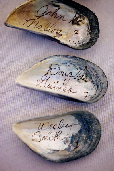 DIY Beach Wedding Inspiration Idea