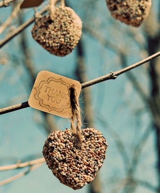 DIY Love Birds Wedding Theme Ideas