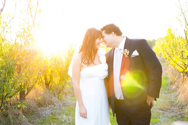 Blush & Gold Outdoor Wedding, Hathersage House Cape Town Blush & Gold Outdoor Wedding, Hathersage House Cape Town