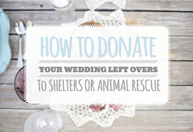 How to Donate Wedding Leftovers to Shelters or Animal Rescue