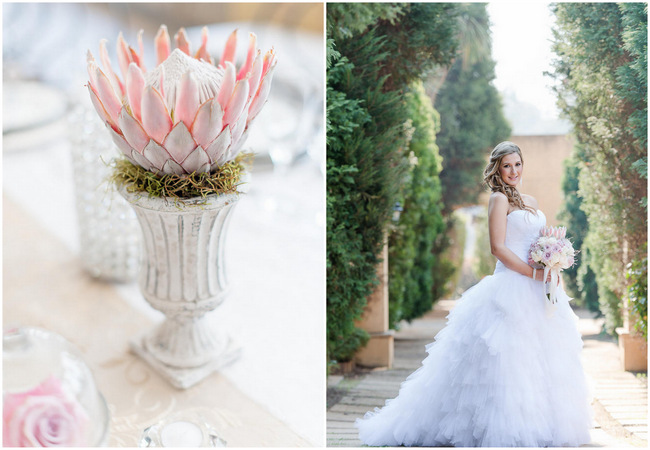 Fabulously Feminine Pink and Cream Protea Wedding {Lightburst Photography}