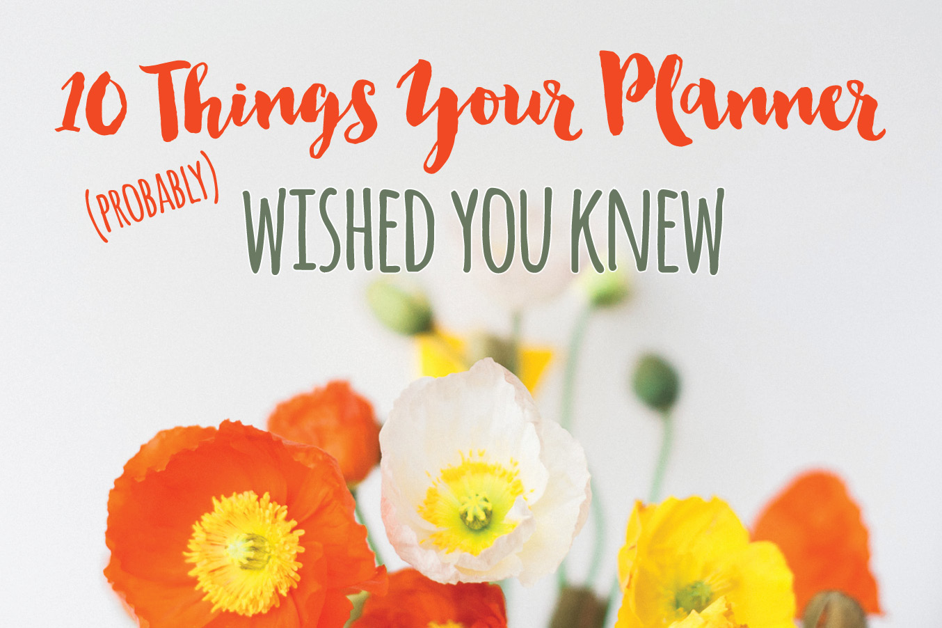 10 Things Your Wedding Planner Probably Wished You Knew
