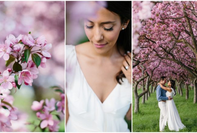 Sweet Apple Blossom Engagement Photographs in Ottawa {Grace & Gold Studio}