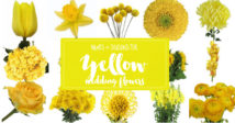 Names and Types of Yellow Wedding Flowers