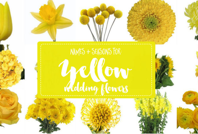 Names and Types of Yellow Wedding Flowers