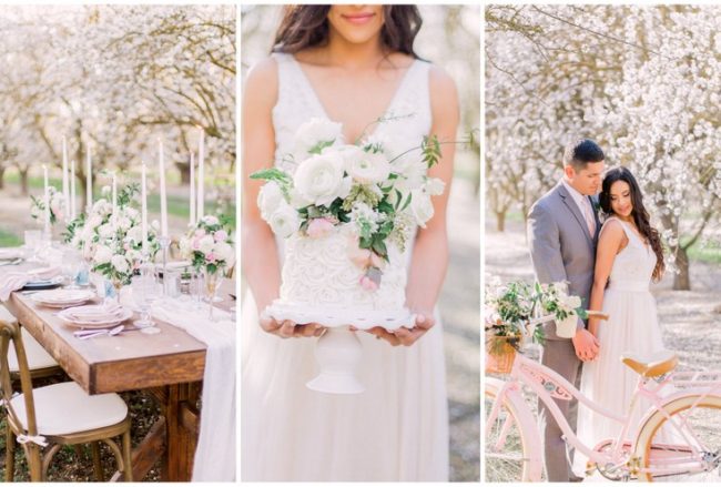 Incredible Blossom-filled Almond Orchard Wedding