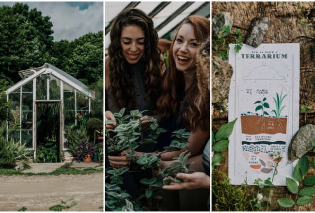 Sustainable vegan greenhouse bachelorette