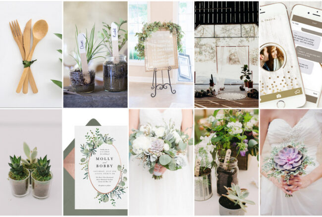 50+ Beautiful Eco-Friendly, Zero Waste + Sustainable Wedding Ideas