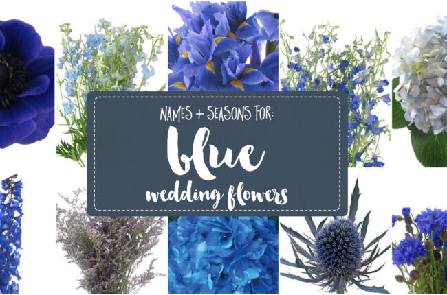 Blue wedding flower names