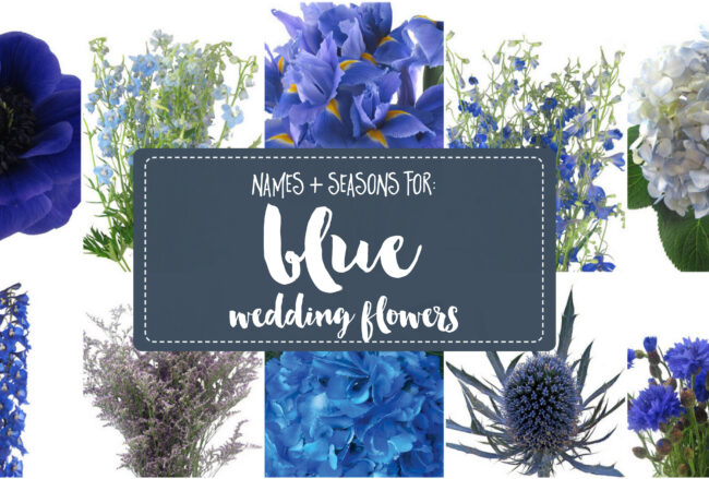 Blue wedding flower names