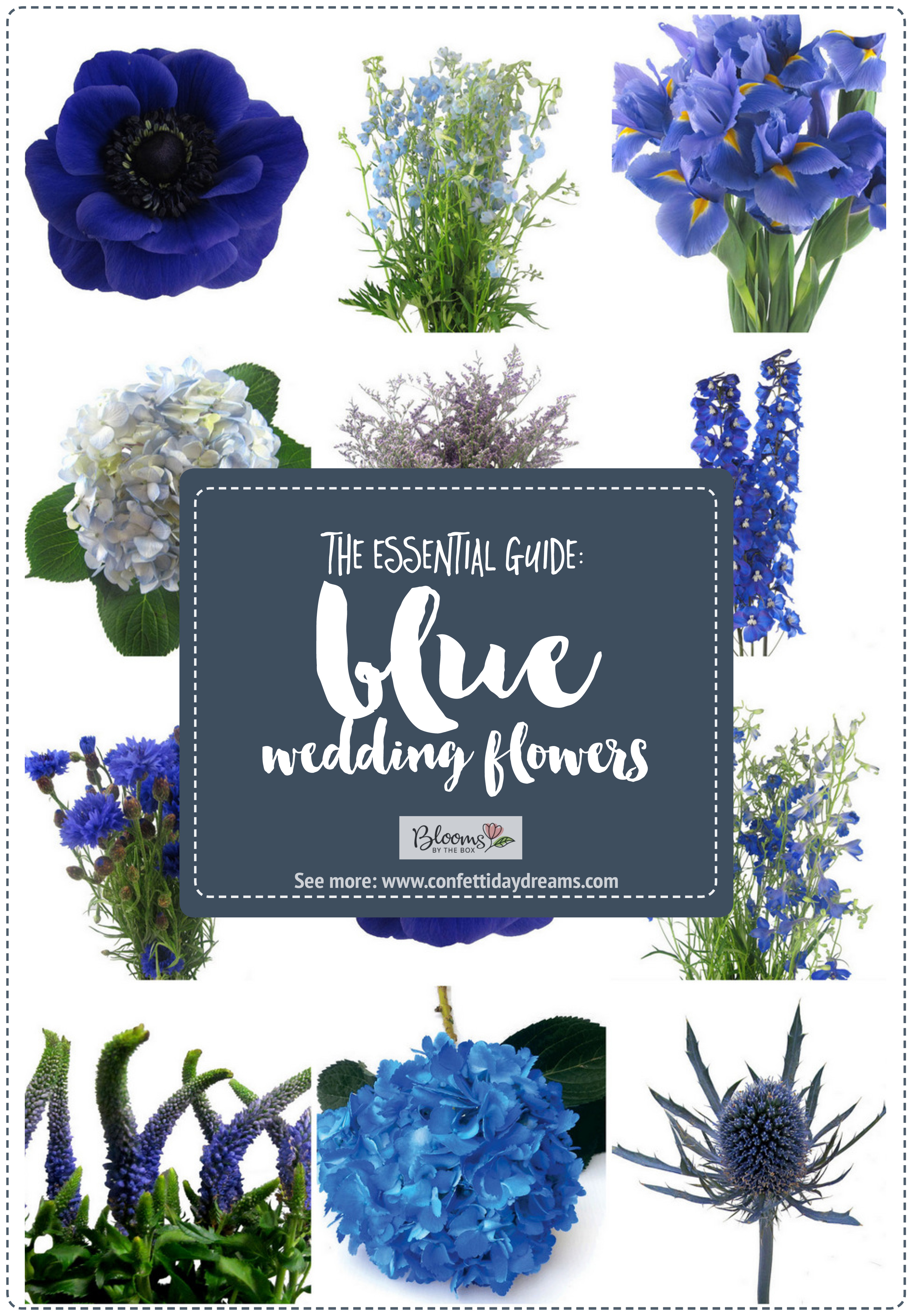 Essential Blue Wedding Flowers Guide: Types, Names, Seasons + Pics
