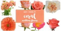 Coral Wedding Flower types