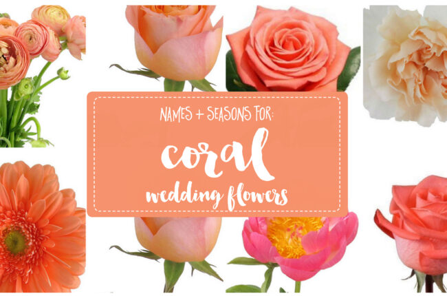 Coral Wedding Flower types