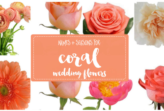 The Essential Coral Wedding Flowers Guide: Types of Peach Flowers, Names, Seasons + Pics