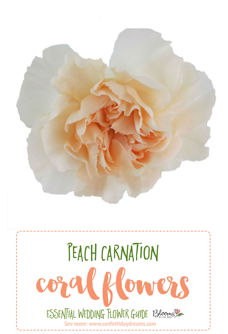 The Essential Coral Wedding Flowers Guide Types of Peach Flowers