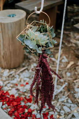 Silver Sixpence Dullstroom Wedding