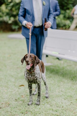 Slate and Light Blue Dog Lovers Wedding