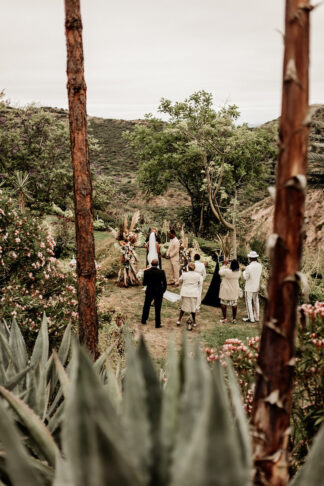 Backyard Boho Micro wedding Elopement