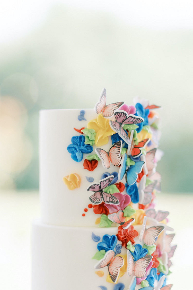  Colourful Butterly Wedding Theme Cake