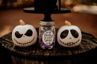 Jack and Sally Nightmare Before Christmas Wedding Theme