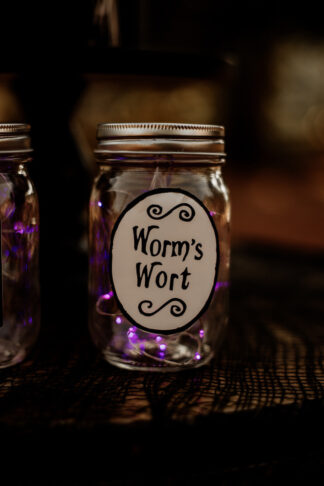 Worms Wort Nightmare Before Christmas Wedding Theme