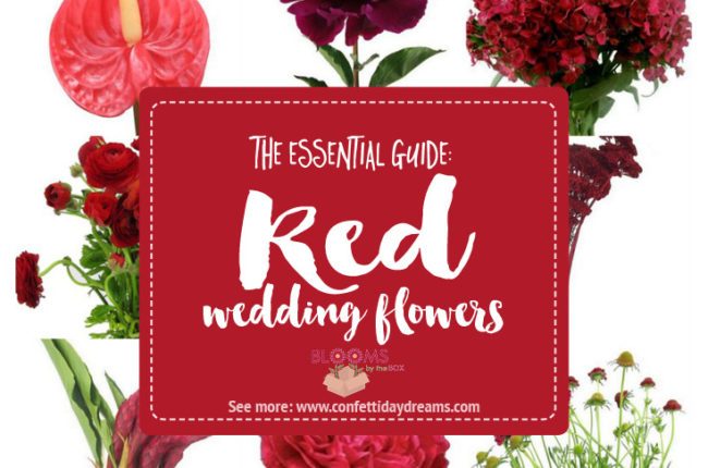 Complete guide to red wedding flower names and types