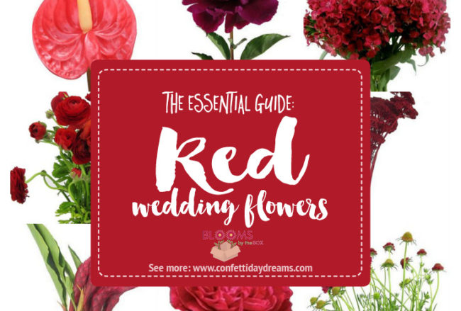 Names and Types of Red Wedding Flowers with Seasons + Pics