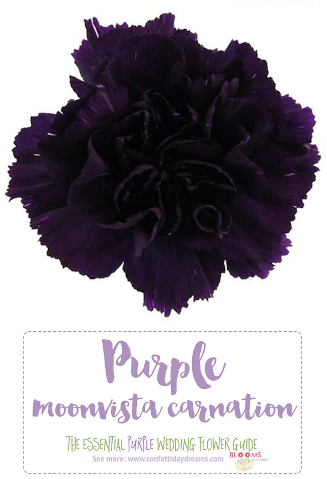 Complete Guide to Purple Wedding Flowers, Purple Flower Names + Pics
