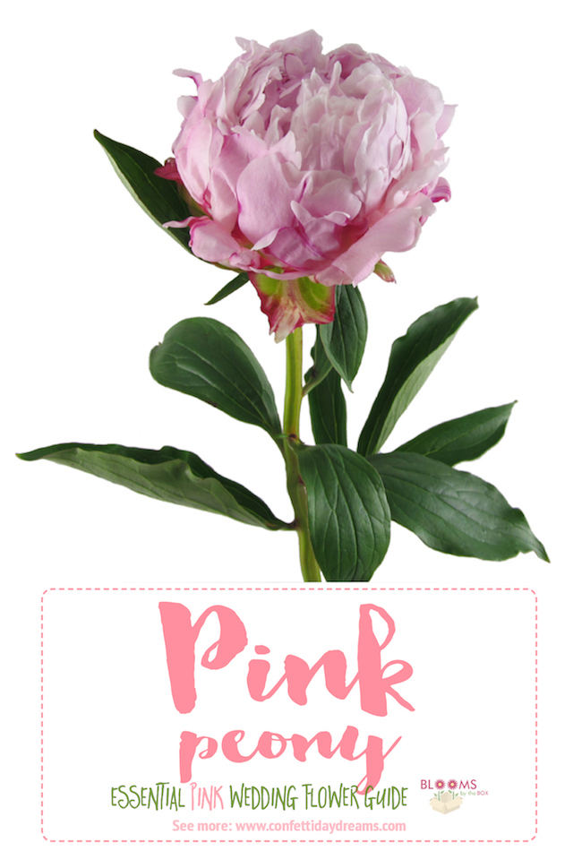 The Essential Pink Wedding Flowers Guide Types of Pink Flowers, Names