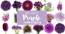 Purple Wedding Flowers Names and Seasons