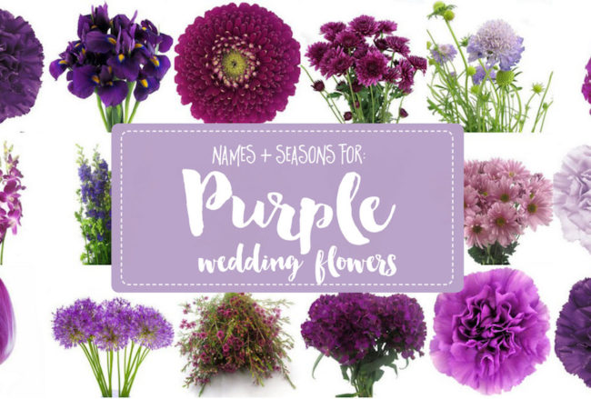 The Complete Guide to Purple Wedding Flowers + Purple Flower Names