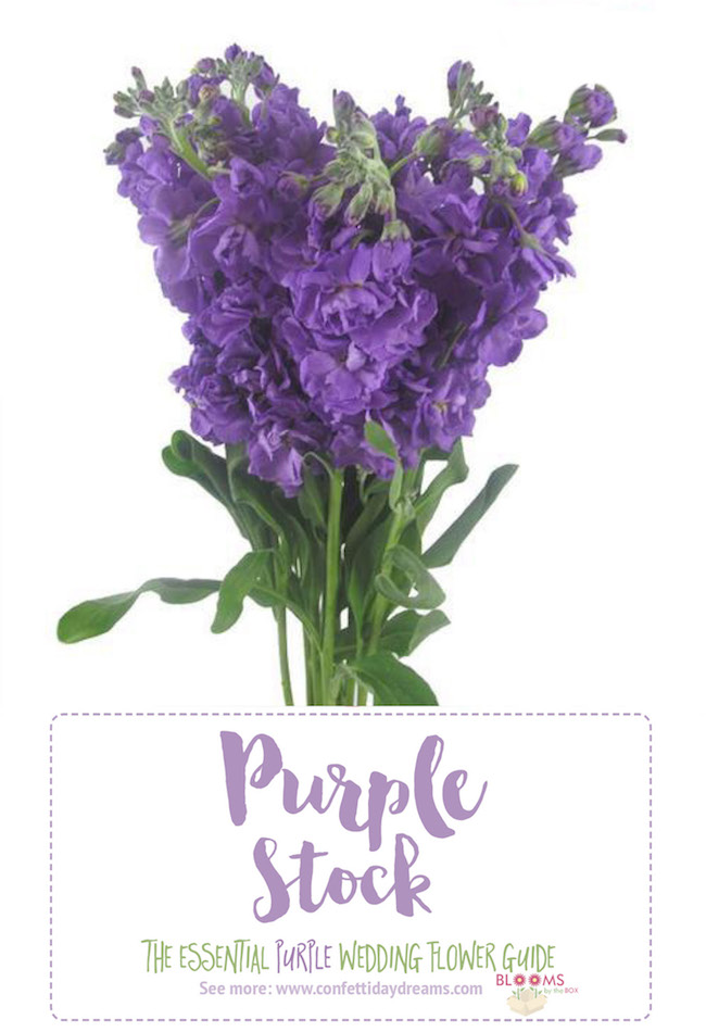 Complete Guide to Purple Wedding Flowers, Purple Flower Names + Pics