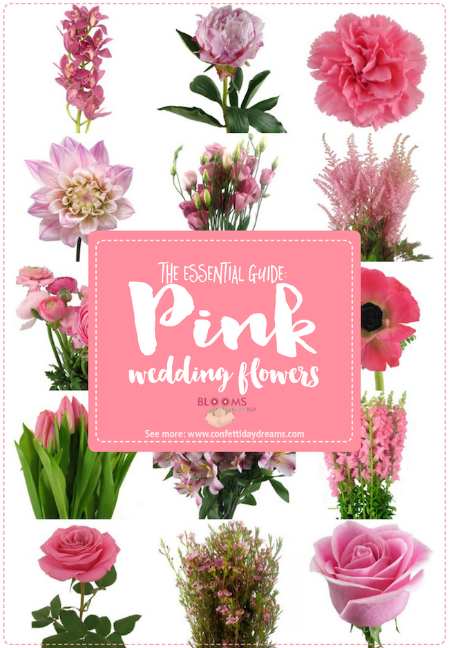 The Essential Pink Wedding Flowers Guide: Types of Pink Flowers, Names ...