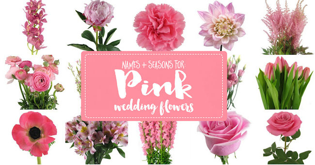 The Essential Pink Wedding Flowers Guide: Types of Pink Flowers, Names, Seasons + Pics