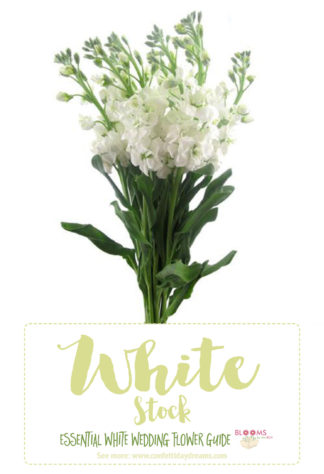 White Wedding Flowers Guide Types Of Names Pics White Wedding Flowers Types Of