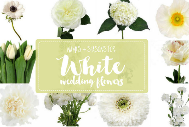 The Essential White Wedding Flowers Guide: Types of White Flowers, Names, Seasons + Pics