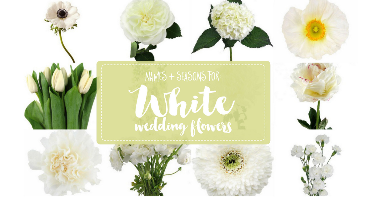 White Wedding Flowers Guide: Types of White Flowers, Names + Pics