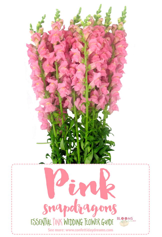 The Essential Pink Wedding Flowers Guide Types of Pink Flowers, Names